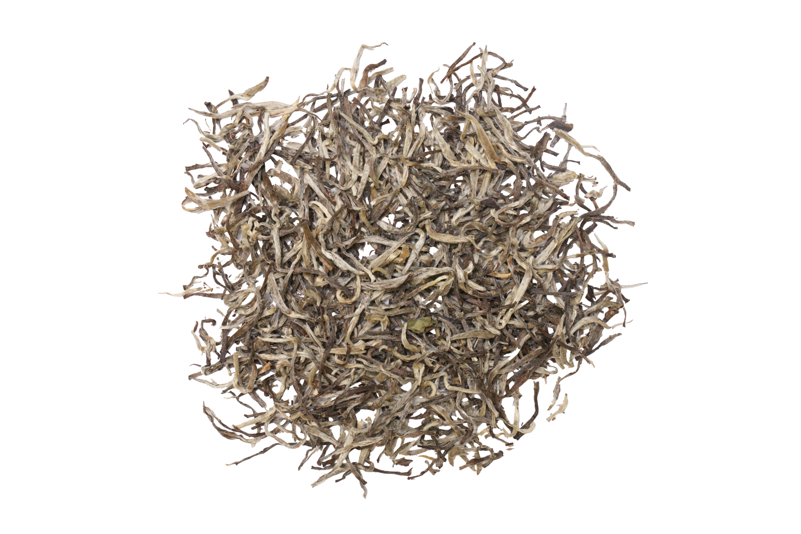 silver needle